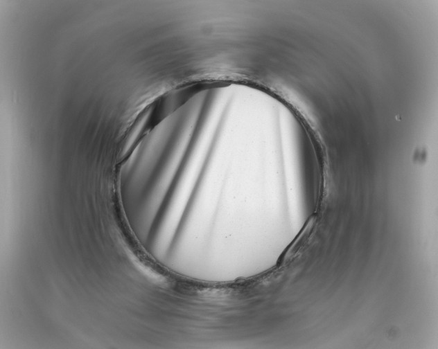 X0000089970105200707202019