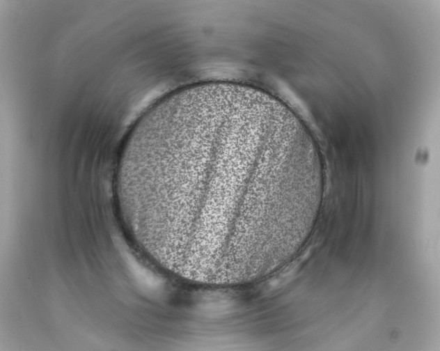 X0000089970106200707202019