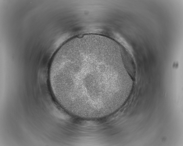 X0000089970107200707202019