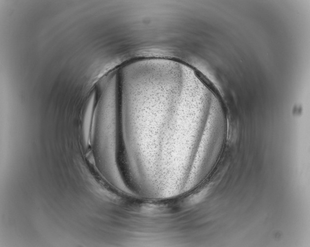 X0000089970109200707202019