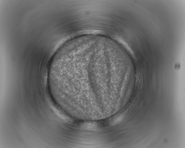 X0000089970110200707202019