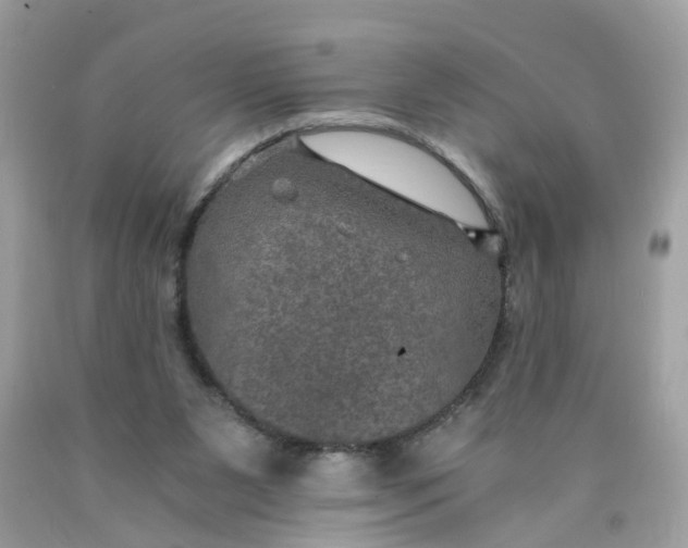 X0000089970111200707202019