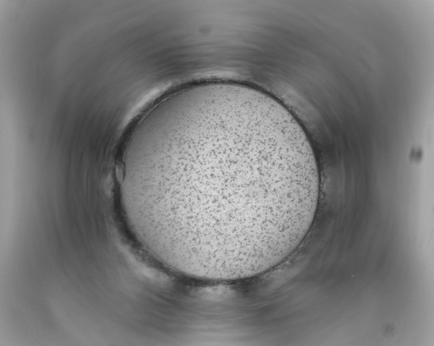 X0000089970112200707202019