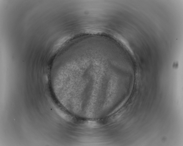 X0000089970114200707202019