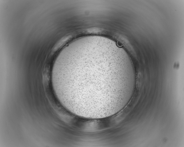 X0000089970116200707202019