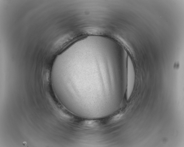 X0000089970117200707202019