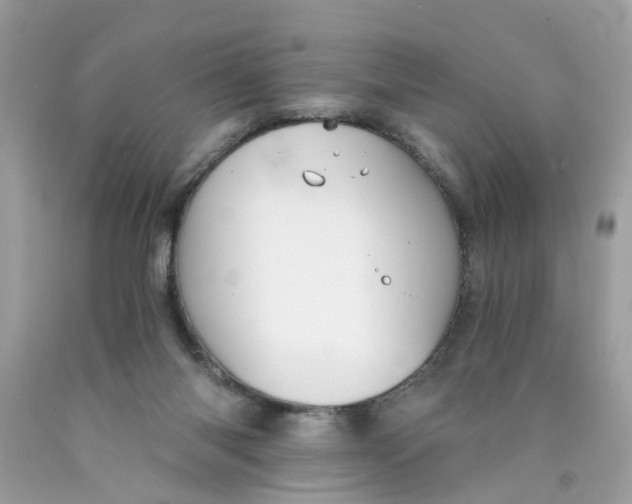 X0000089970118200707202019