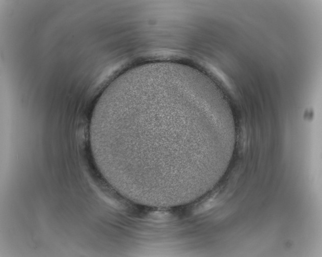 X0000089970119200707202019