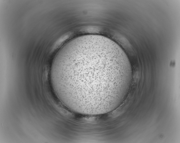 X0000089970120200707202019