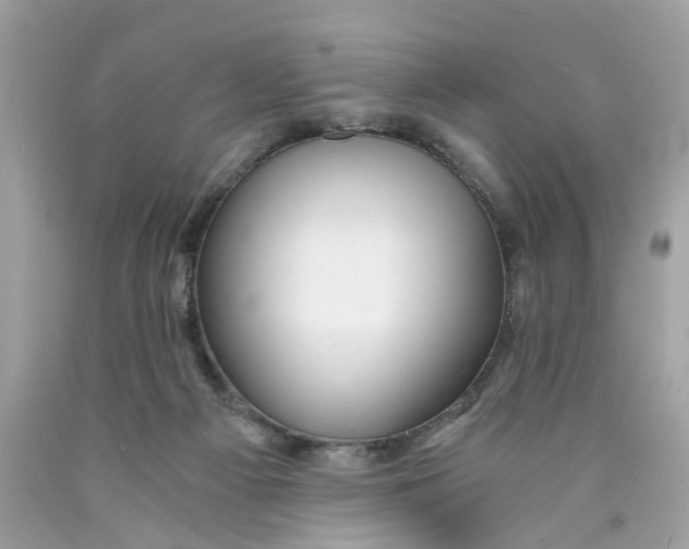 X0000089970121200707202019