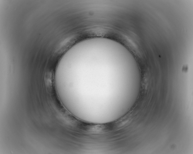 X0000089970122200707202019