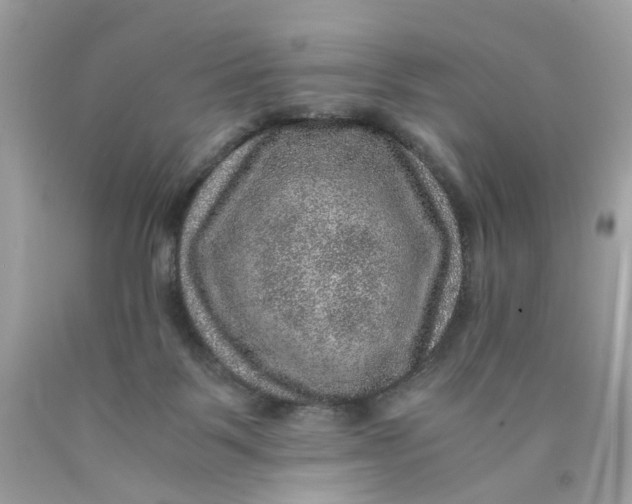 X0000089970123200707202019