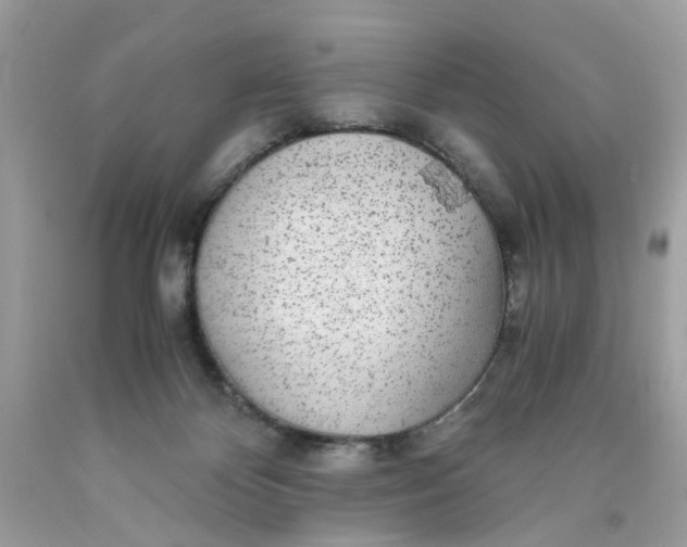 X0000089970124200707202019