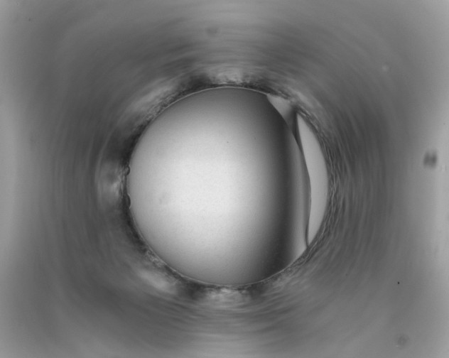 X0000089970125200707202019