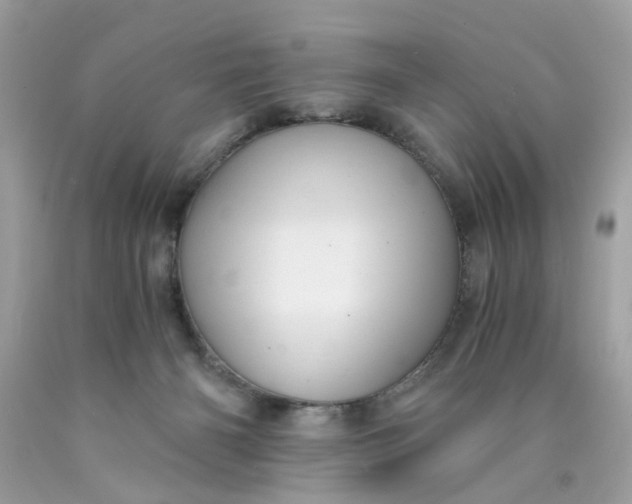 X0000089970126200707202019