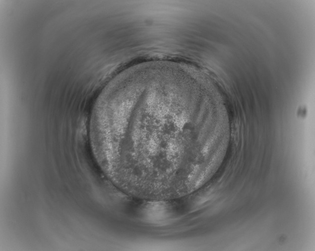 X0000089970127200707202019