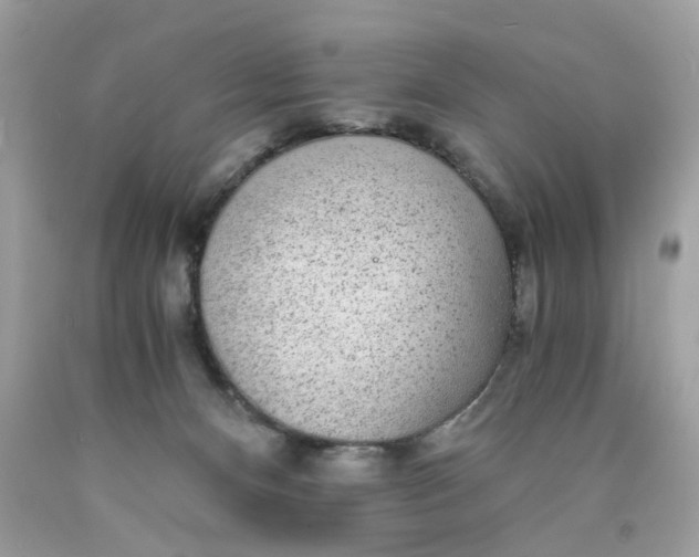 X0000089970128200707202019