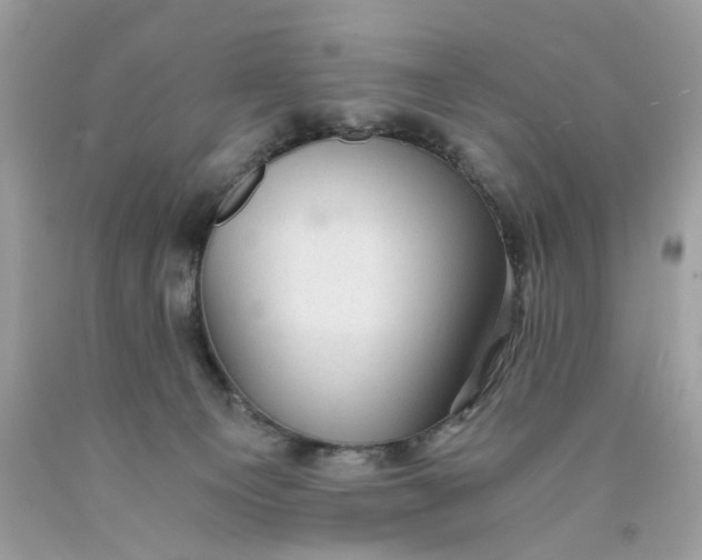 X0000089970129200707202019