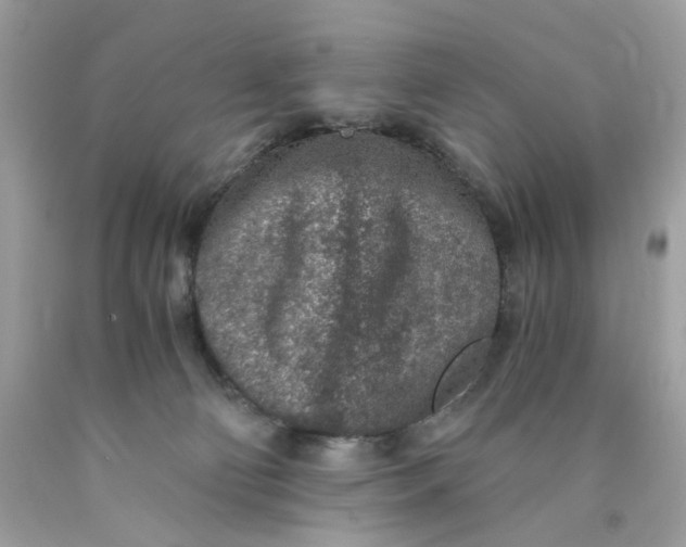 X0000089970130200707202019