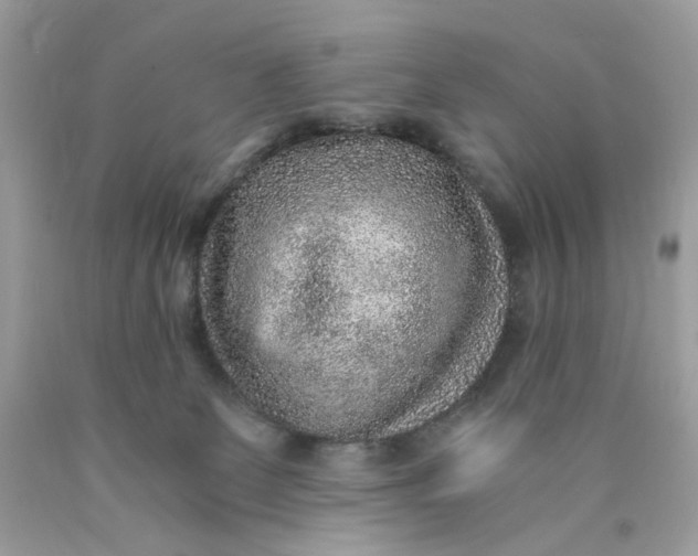 X0000089970131200707202019