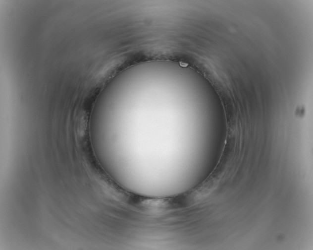 X0000089970133200707202019