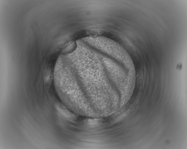 X0000089970134200707202019