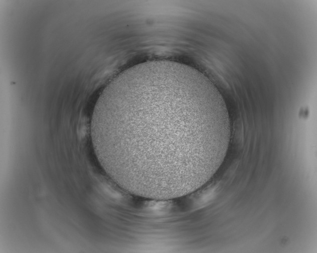 X0000089970135200707202019