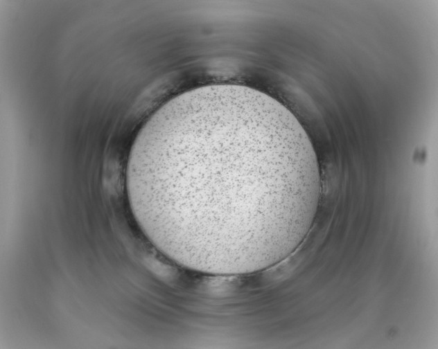 X0000089970136200707202019