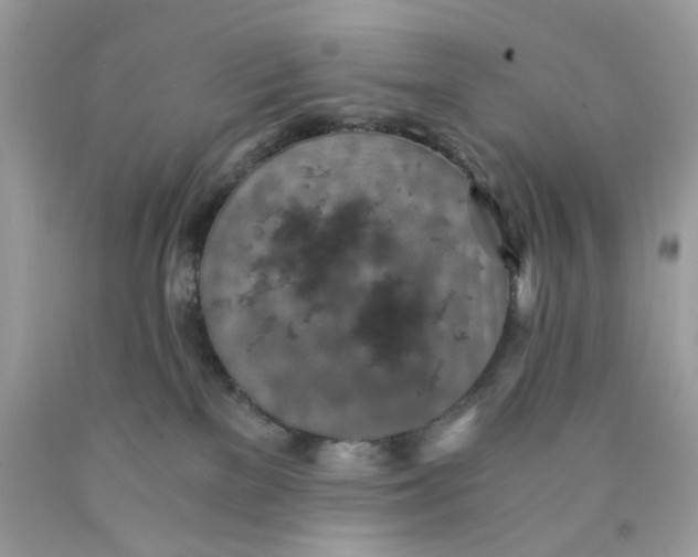 X0000089970137200707202019