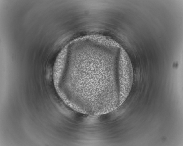 X0000089970138200707202019