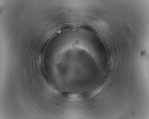 X0000089970139200707202019