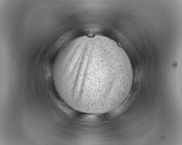 X0000089970140200707202019