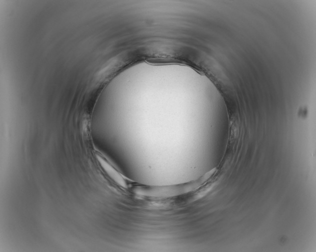 X0000089970141200707202019