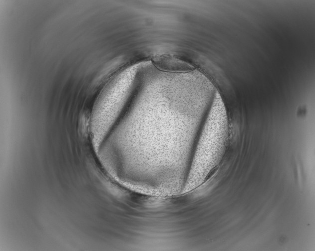 X0000089970142200707202019