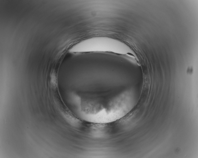 X0000089970143200707202019