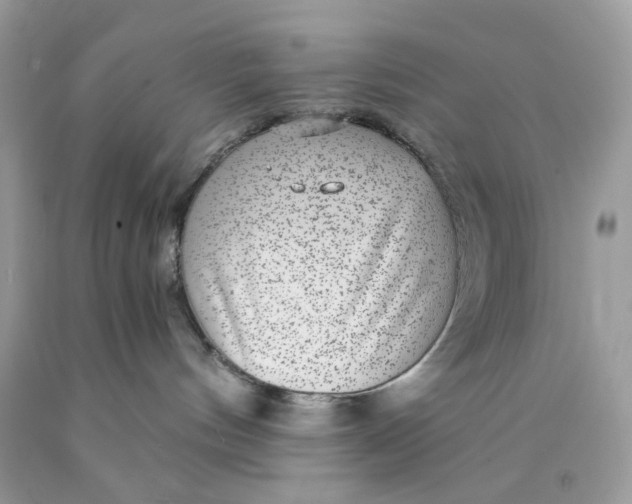 X0000089970144200707202019