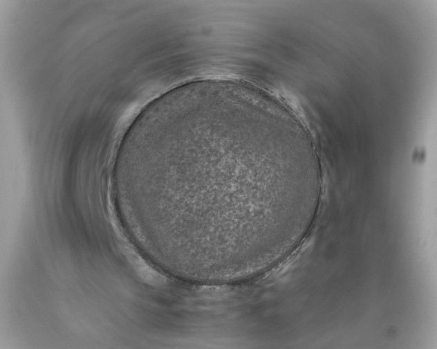 X0000089970145200707202018