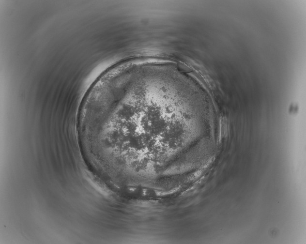 X0000089970147200707202018