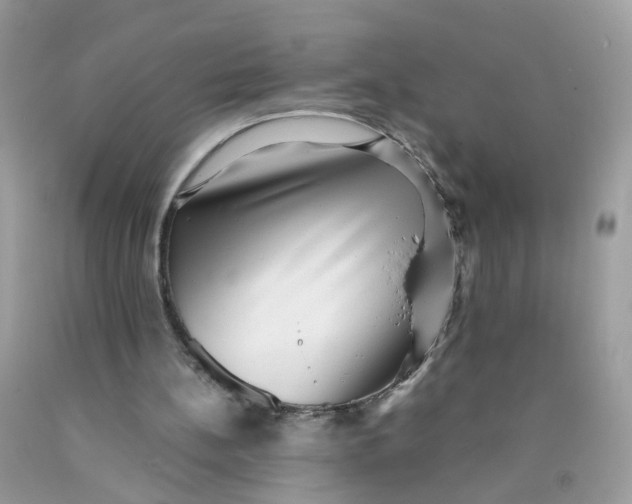 X0000089970148200707202018