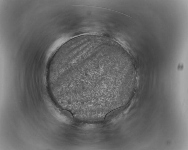 X0000089970149200707202018