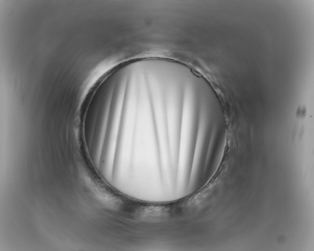 X0000089970152200707202018