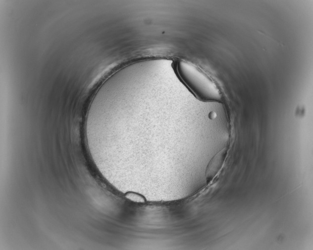 X0000089970154200707202018