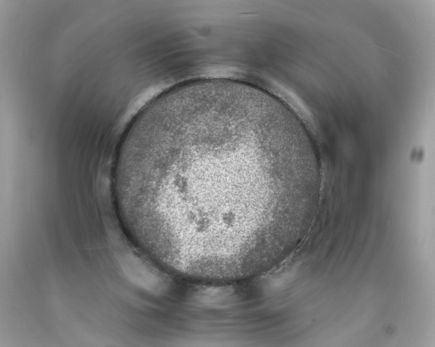 X0000089970155200707202018