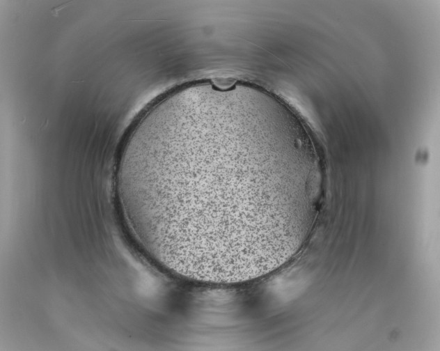 X0000089970156200707202018