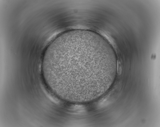 X0000089970157200707202018