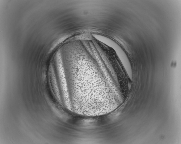 X0000089970158200707202018