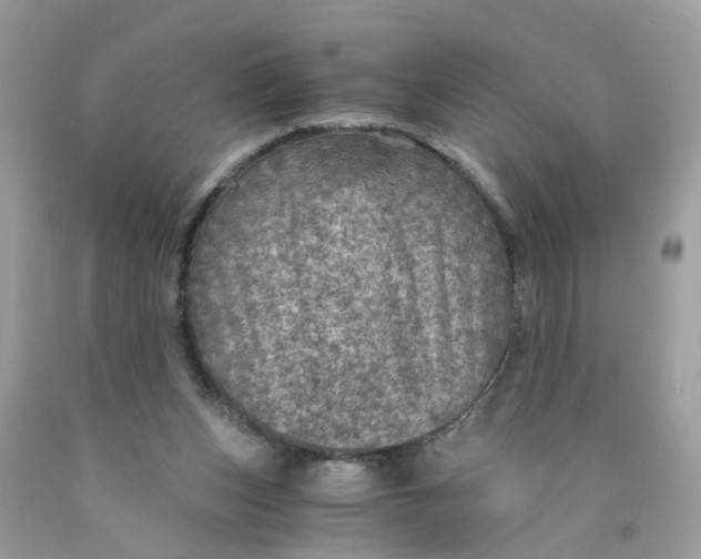 X0000089970159200707202018