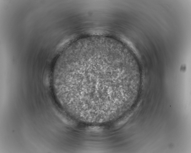 X0000089970161200707202018