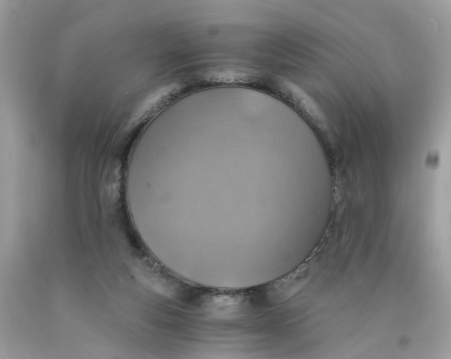 X0000089970163200707202018