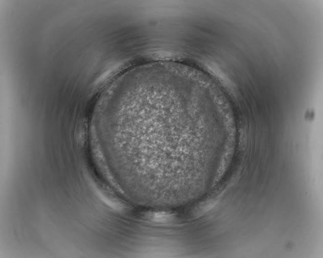 X0000089970165200707202018